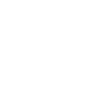Craft Brewing Company